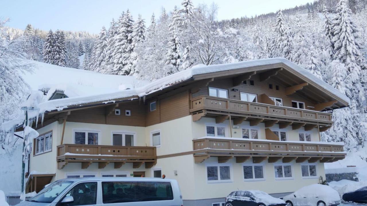 Dienten am HochkönigHaus Dienten公寓 外观 照片