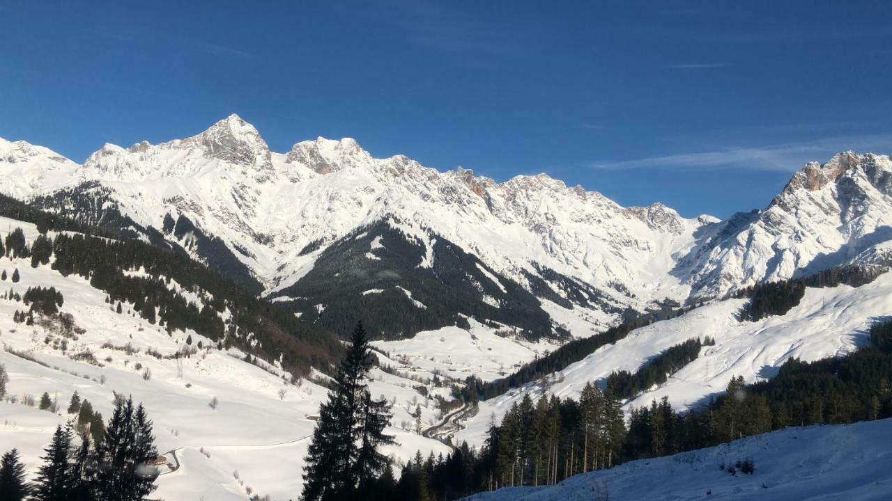 Dienten am HochkönigHaus Dienten公寓 外观 照片